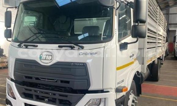 Tenga Tsaru Nissan UD Chena Rori in Luanshya in Zambia Tenga Tsaru Nissan UD Chena Rori in Luanshya in Zambia