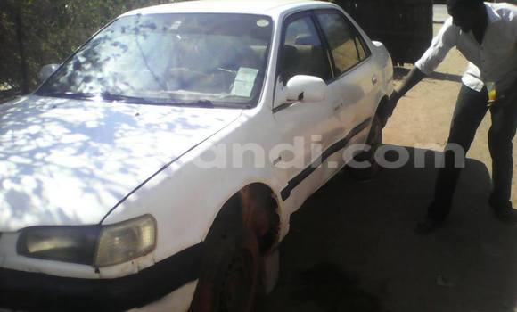 Tenga Tsaru Toyota 4Runner Chena Mota in Luanshya in Zambia Tenga Tsaru Toyota 4Runner Chena Mota in Luanshya in Zambia