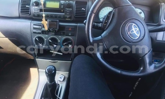 Nunua Ilio tumika Toyota Runx Fedha Gari ndani ya Lusaka nchini Zambia Nunua Ilio tumika Toyota Runx Fedha Gari ndani ya Lusaka nchini Zambia