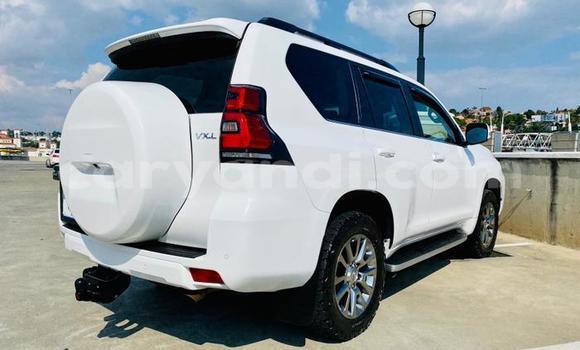 Acheter Occasion Voiture Toyota Hilux Blanc à Lusaka, Zambie Acheter Occasion Voiture Toyota Hilux Blanc à Lusaka, Zambie