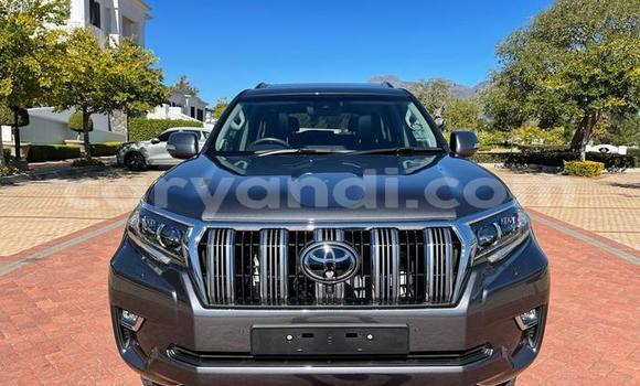 Tenga Tsaru Toyota Prado Sirivha Mota in Lusaka in Zambia Tenga Tsaru Toyota Prado Sirivha Mota in Lusaka in Zambia