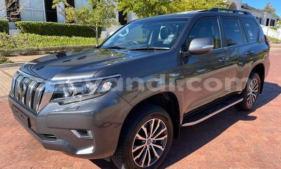 Tenga Tsaru Toyota Prado Sirivha Mota in Lusaka in Zambia Tenga Tsaru Toyota Prado Sirivha Mota in Lusaka in Zambia