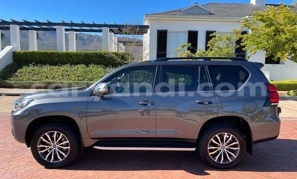 Tenga Tsaru Toyota Prado Sirivha Mota in Lusaka in Zambia Tenga Tsaru Toyota Prado Sirivha Mota in Lusaka in Zambia