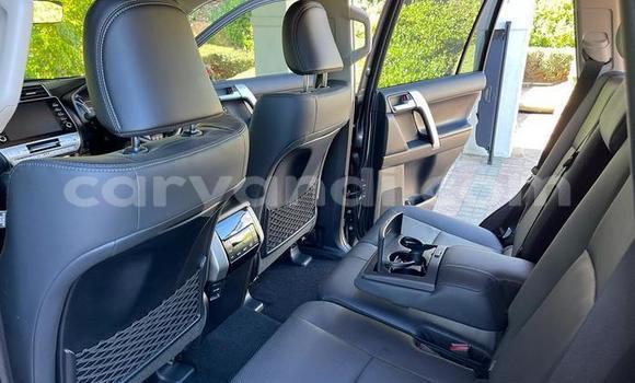 Tenga Tsaru Toyota Prado Sirivha Mota in Lusaka in Zambia Tenga Tsaru Toyota Prado Sirivha Mota in Lusaka in Zambia