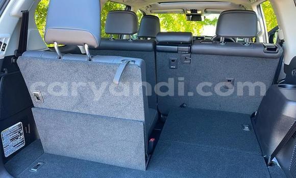 Tenga Tsaru Toyota Prado Sirivha Mota in Lusaka in Zambia Tenga Tsaru Toyota Prado Sirivha Mota in Lusaka in Zambia