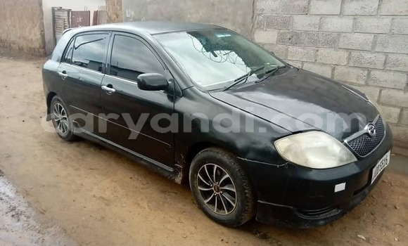 Buy Used Toyota Allex Black Car in Lusaka in Zambia Buy Used Toyota Allex Black Car in Lusaka in Zambia