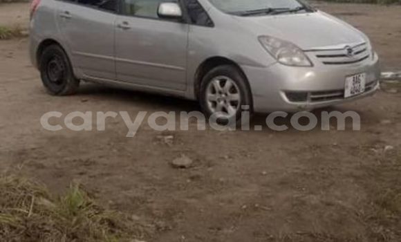 Buy Used Toyota Spacio Silver Car in Lusaka in Zambia Buy Used Toyota Spacio Silver Car in Lusaka in Zambia