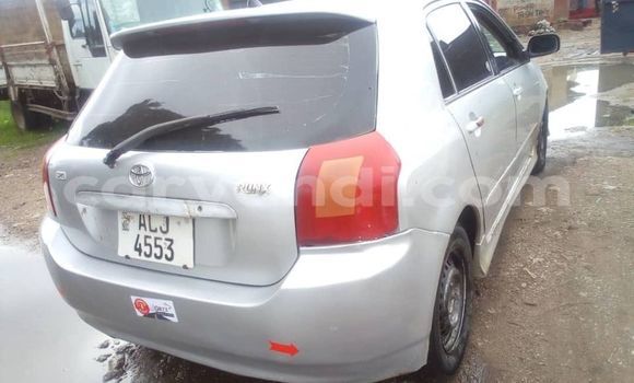 Buy Used Toyota Runx Silver Car in Lusaka in Zambia Buy Used Toyota Runx Silver Car in Lusaka in Zambia