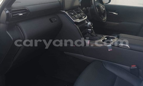 Tenga Tsaru Toyota Land Cruiser Chena Mota in Lusaka in Zambia Tenga Tsaru Toyota Land Cruiser Chena Mota in Lusaka in Zambia