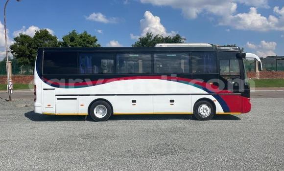 Tenga Tsaru Scania Irizar Zvimwe Rori in Lusaka in Zambia Tenga Tsaru Scania Irizar Zvimwe Rori in Lusaka in Zambia