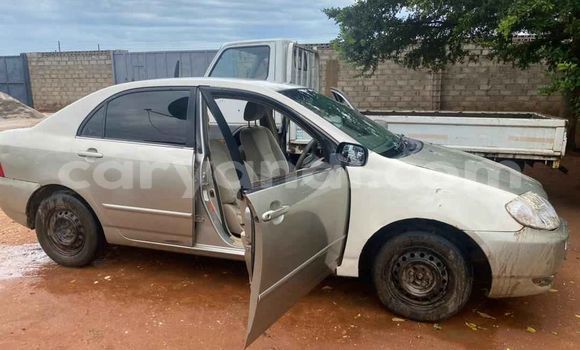 Buy Used Toyota Corolla Silver Car in Lusaka in Zambia Buy Used Toyota Corolla Silver Car in Lusaka in Zambia