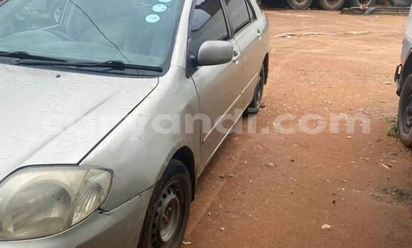 Tenga Tsaru Toyota Corolla Sirivha Mota in Lusaka in Zambia Tenga Tsaru Toyota Corolla Sirivha Mota in Lusaka in Zambia