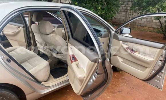 Tenga Tsaru Toyota Corolla Sirivha Mota in Lusaka in Zambia Tenga Tsaru Toyota Corolla Sirivha Mota in Lusaka in Zambia