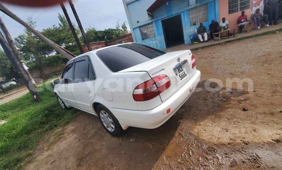 Tenga Tsaru Toyota Corolla Chena Mota in Lusaka in Zambia Tenga Tsaru Toyota Corolla Chena Mota in Lusaka in Zambia
