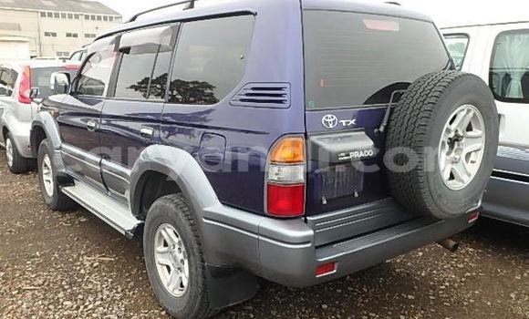 Nunua Ilio tumika Toyota 4Runner Bluu Gari ndani ya Chingola nchini Zambia Nunua Ilio tumika Toyota 4Runner Bluu Gari ndani ya Chingola nchini Zambia