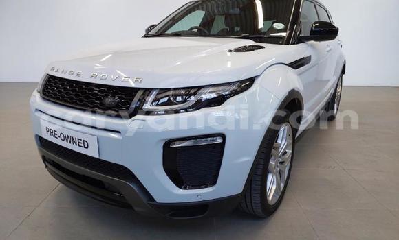 Buy Used Land Rover Range Rover Evoque White Car in Lusaka in Zambia Buy Used Land Rover Range Rover Evoque White Car in Lusaka in Zambia