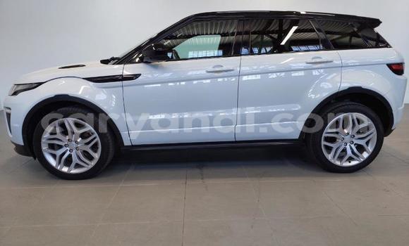 Buy Used Land Rover Range Rover Evoque White Car in Lusaka in Zambia Buy Used Land Rover Range Rover Evoque White Car in Lusaka in Zambia