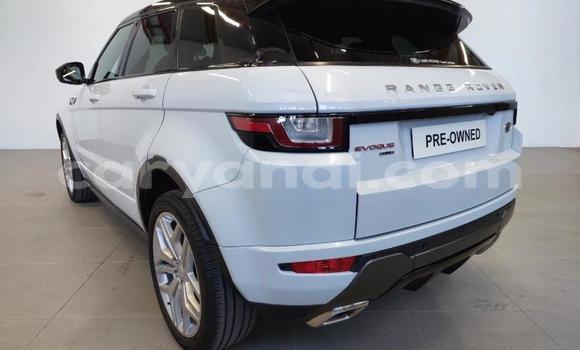 Buy Used Land Rover Range Rover Evoque White Car in Lusaka in Zambia Buy Used Land Rover Range Rover Evoque White Car in Lusaka in Zambia