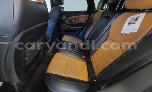 Buy Used Land Rover Range Rover Evoque White Car in Lusaka in Zambia Buy Used Land Rover Range Rover Evoque White Car in Lusaka in Zambia