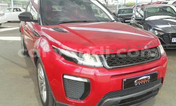 Buy Used Land Rover Range Rover Evoque Red Car in Lusaka in Zambia