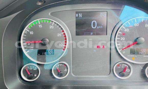 Acheter Occasion Utilitaire Man TGX Blanc à Lusaka, Zambie Acheter Occasion Utilitaire Man TGX Blanc à Lusaka, Zambie