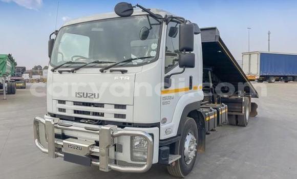 Buy Used Isuzu FTR 850 White Truck in Livingstone in Zambia