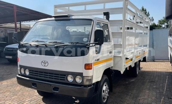 Buy Used Toyota Dyna White Truck in Ndola in Zambia