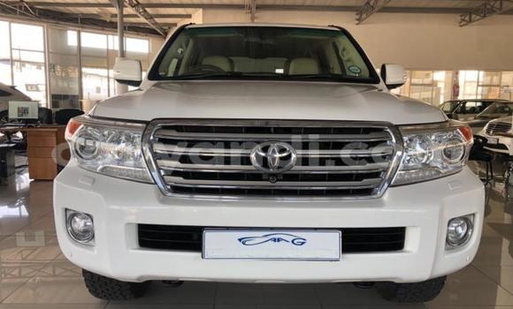 Tenga Tsaru Toyota Land Cruiser Chena Mota in Lusaka in Zambia Tenga Tsaru Toyota Land Cruiser Chena Mota in Lusaka in Zambia