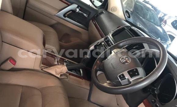 Tenga Tsaru Toyota Land Cruiser Chena Mota in Lusaka in Zambia Tenga Tsaru Toyota Land Cruiser Chena Mota in Lusaka in Zambia