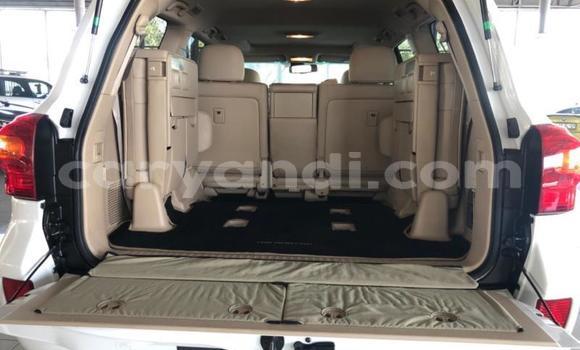 Tenga Tsaru Toyota Land Cruiser Chena Mota in Lusaka in Zambia Tenga Tsaru Toyota Land Cruiser Chena Mota in Lusaka in Zambia