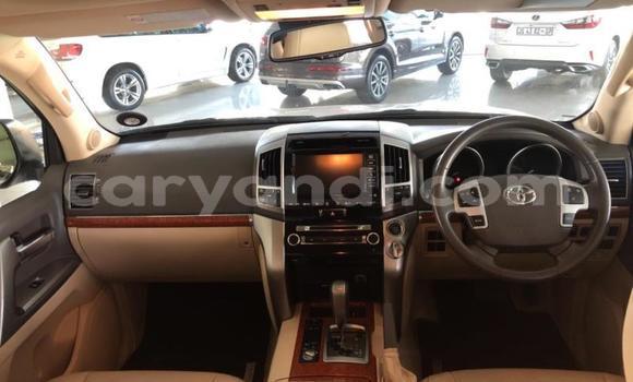 Tenga Tsaru Toyota Land Cruiser Chena Mota in Lusaka in Zambia Tenga Tsaru Toyota Land Cruiser Chena Mota in Lusaka in Zambia