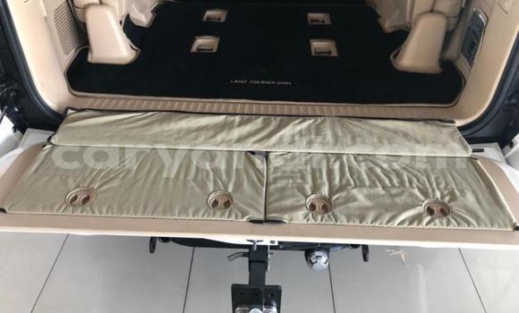 Tenga Tsaru Toyota Land Cruiser Chena Mota in Lusaka in Zambia Tenga Tsaru Toyota Land Cruiser Chena Mota in Lusaka in Zambia