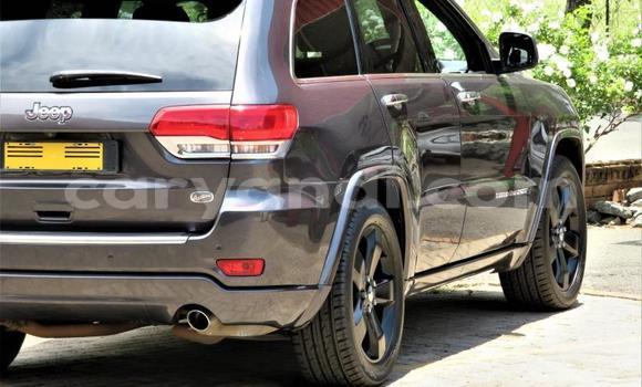 Tenga Tsaru Jeep Grand Cherokee SRT8 Zvimwe Mota in Lusaka in Zambia Tenga Tsaru Jeep Grand Cherokee SRT8 Zvimwe Mota in Lusaka in Zambia