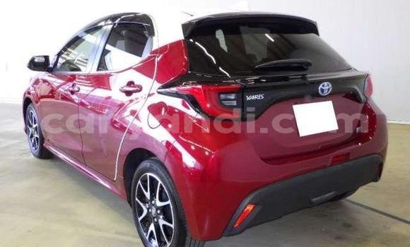 Buy Used Toyota Yaris Red Car in Lusaka in Zambia Buy Used Toyota Yaris Red Car in Lusaka in Zambia