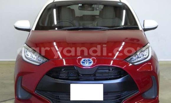 Buy Used Toyota Yaris Red Car in Lusaka in Zambia Buy Used Toyota Yaris Red Car in Lusaka in Zambia