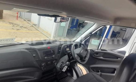Buy Used Iveco Daily White Truck in Lusaka in Zambia Buy Used Iveco Daily White Truck in Lusaka in Zambia