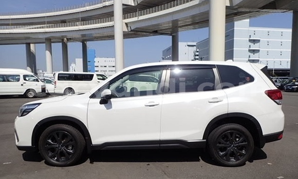 Tenga Tsaru Subaru Forester Chena Mota in Lusaka in Zambia Tenga Tsaru Subaru Forester Chena Mota in Lusaka in Zambia