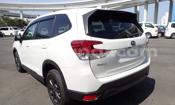 Tenga Tsaru Subaru Forester Chena Mota in Lusaka in Zambia Tenga Tsaru Subaru Forester Chena Mota in Lusaka in Zambia