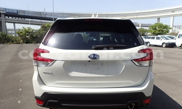Tenga Tsaru Subaru Forester Chena Mota in Lusaka in Zambia Tenga Tsaru Subaru Forester Chena Mota in Lusaka in Zambia