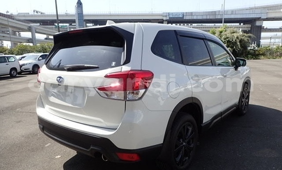 Tenga Tsaru Subaru Forester Chena Mota in Lusaka in Zambia Tenga Tsaru Subaru Forester Chena Mota in Lusaka in Zambia