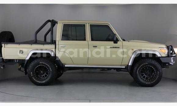 Tenga Tsaru Toyota Land Cruiser Beige Mota in Lusaka in Zambia Tenga Tsaru Toyota Land Cruiser Beige Mota in Lusaka in Zambia