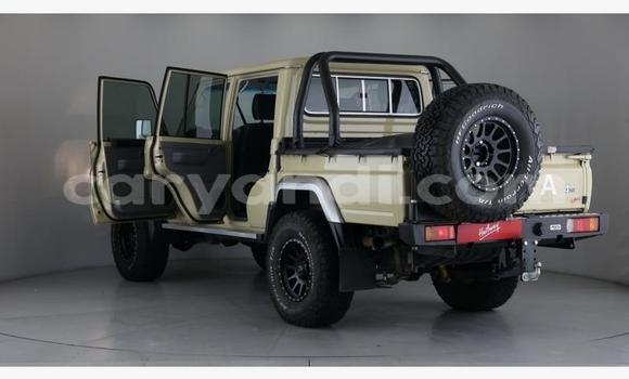 Tenga Tsaru Toyota Land Cruiser Beige Mota in Lusaka in Zambia Tenga Tsaru Toyota Land Cruiser Beige Mota in Lusaka in Zambia