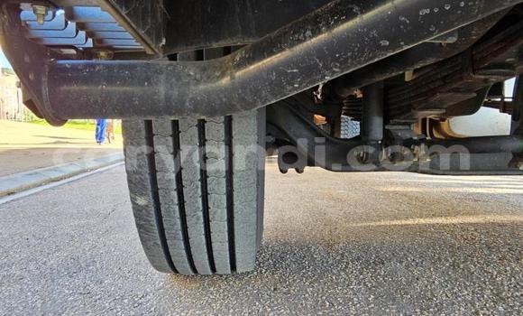 Tenga Tsaru Isuzu FTR 850 Chena Rori in Lusaka in Zambia Tenga Tsaru Isuzu FTR 850 Chena Rori in Lusaka in Zambia
