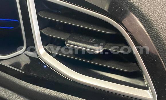 Buy Used Volkswagen T-Roc Blue Car in Lusaka in Zambia Buy Used Volkswagen T-Roc Blue Car in Lusaka in Zambia