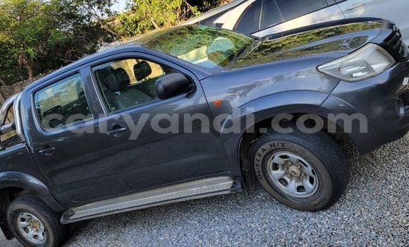 Tenga Tsaru Toyota Hilux Nhema Mota in Lusaka in Zambia Tenga Tsaru Toyota Hilux Nhema Mota in Lusaka in Zambia