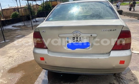 Tenga Tsaru Toyota Corolla Sirivha Mota in Lusaka in Zambia Tenga Tsaru Toyota Corolla Sirivha Mota in Lusaka in Zambia