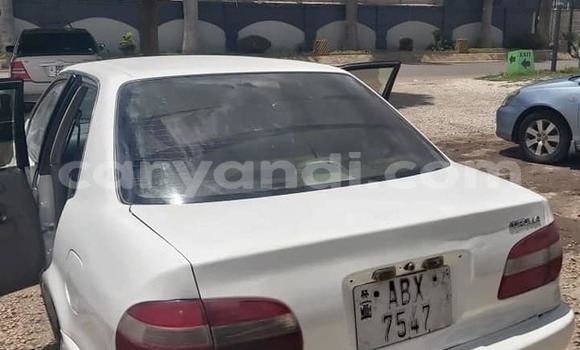 Acheter Occasion Voiture Toyota Corolla Blanc à Lusaka, Zambie Acheter Occasion Voiture Toyota Corolla Blanc à Lusaka, Zambie