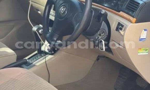 Nunua Ilio tumika Toyota Runx Nyeupe Gari ndani ya Lusaka nchini Zambia Nunua Ilio tumika Toyota Runx Nyeupe Gari ndani ya Lusaka nchini Zambia