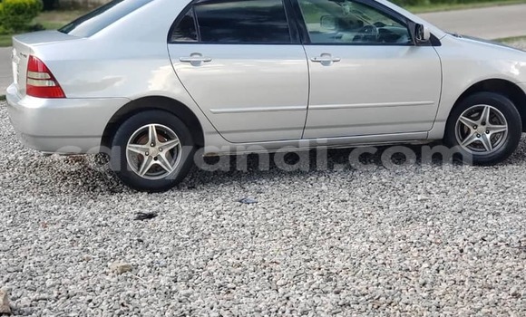 Acheter Occasion Voiture Toyota Corolla Gris à Chilanga, Lusaka Acheter Occasion Voiture Toyota Corolla Gris à Chilanga, Lusaka