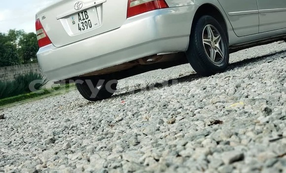 Acheter Occasion Voiture Toyota Corolla Gris à Chilanga, Lusaka Acheter Occasion Voiture Toyota Corolla Gris à Chilanga, Lusaka